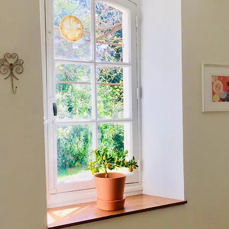 Maison Des Vignes Casa vacanze *