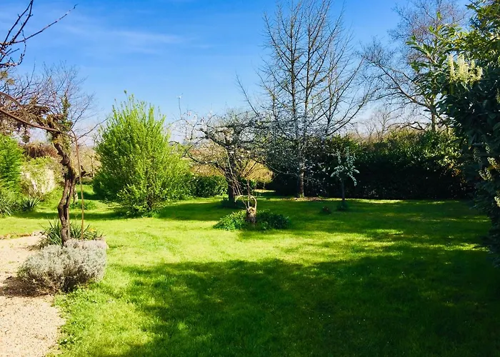 Maison Des Vignes 펜션